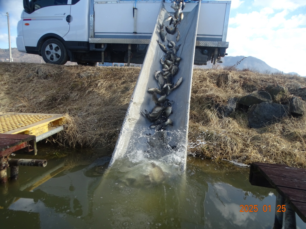 DSC08576.JPG