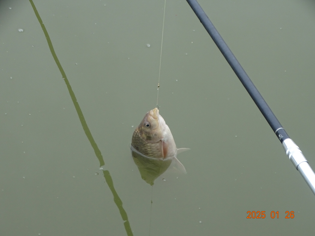 DSC08633.JPG