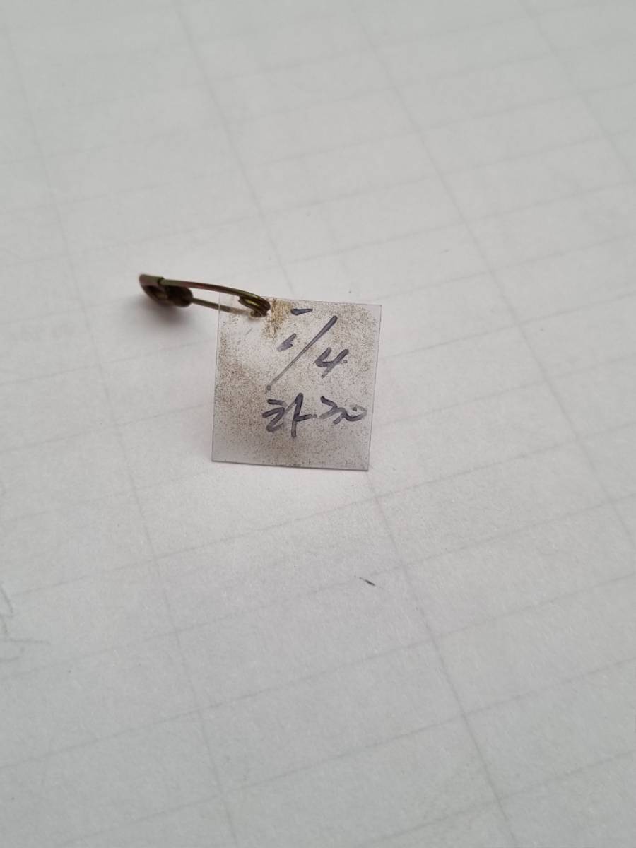 20250130_144304.jpg