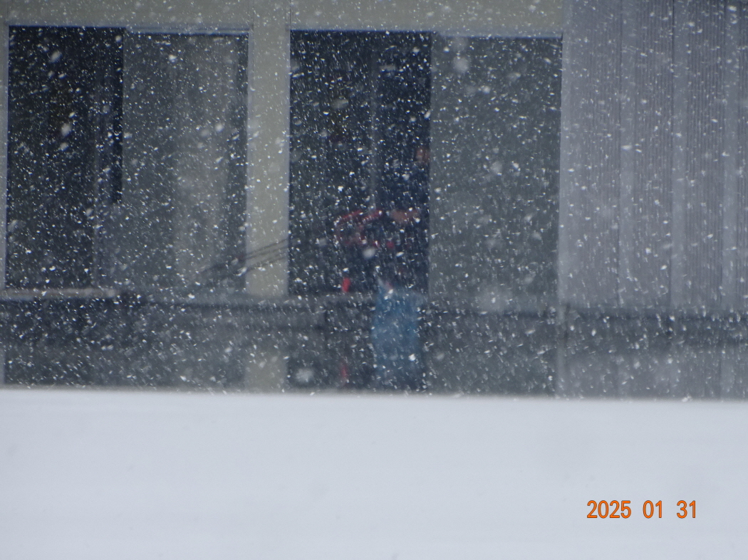 DSC08679.JPG