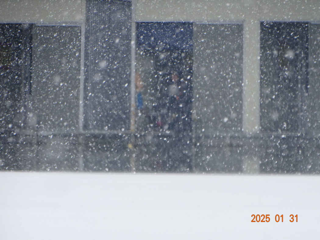 DSC08680.JPG