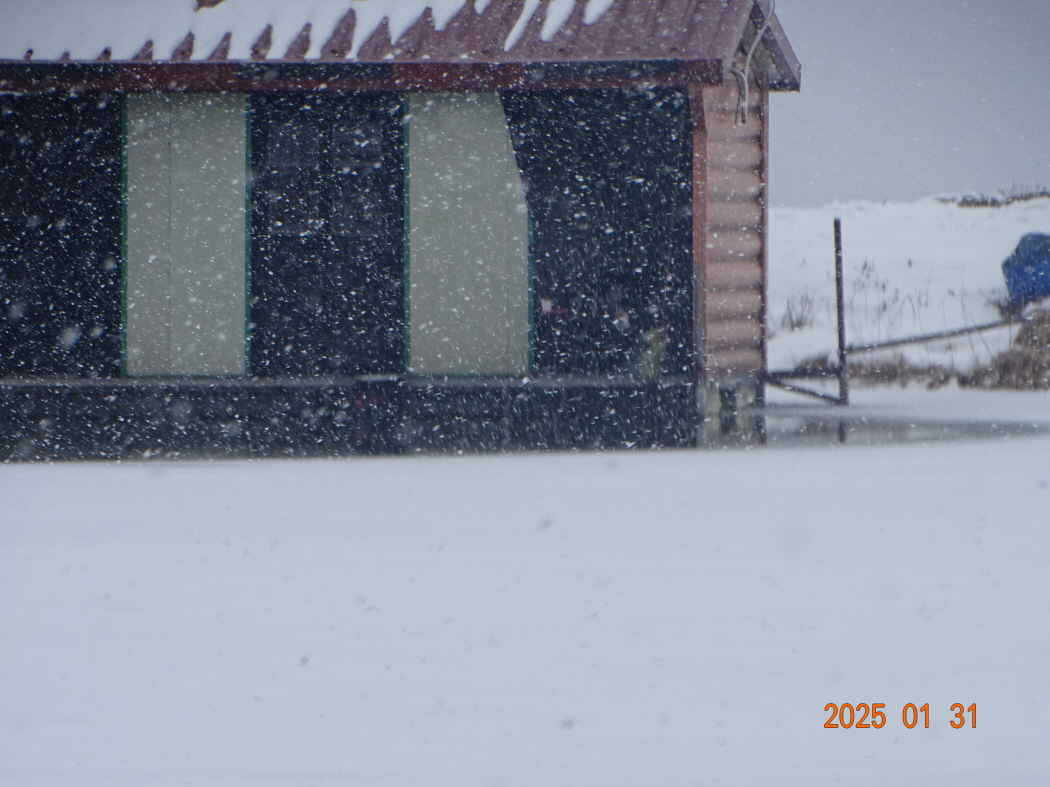 DSC08683.JPG