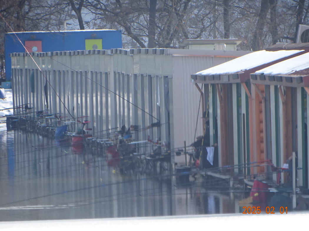 DSC08740.JPG