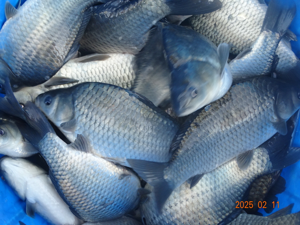 DSC08820.JPG