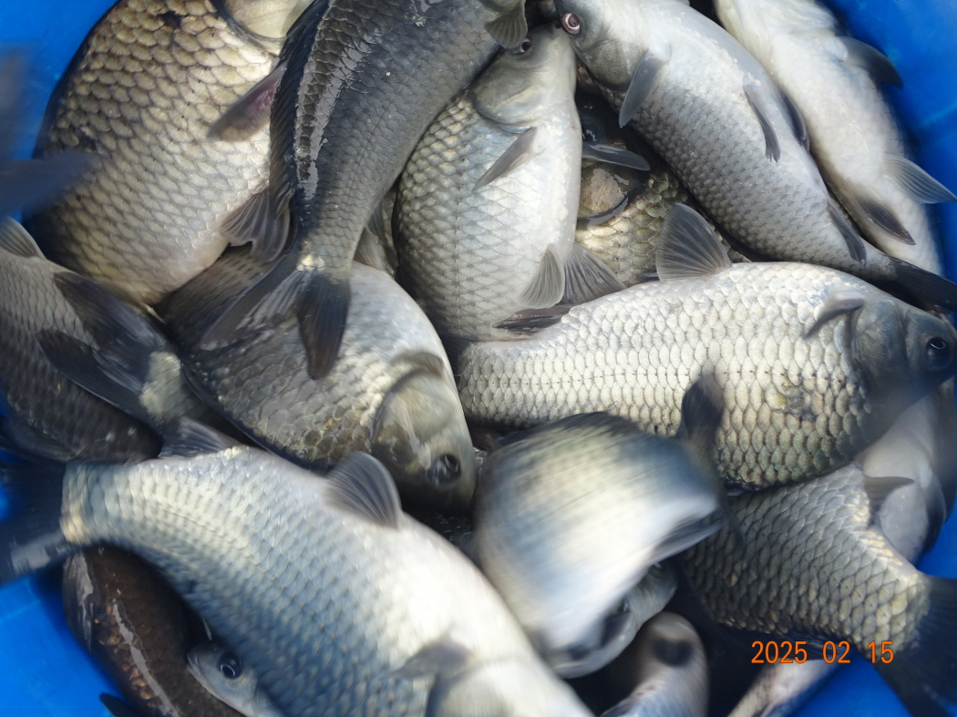 DSC08877.JPG
