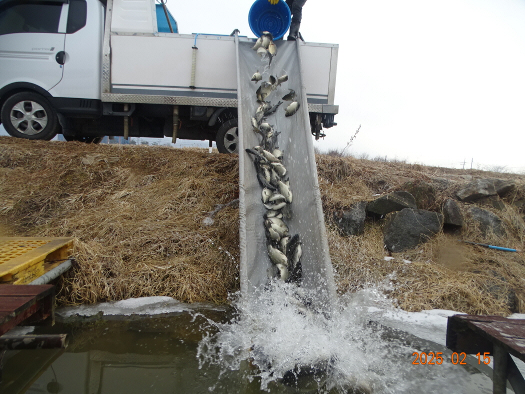 DSC08899.JPG