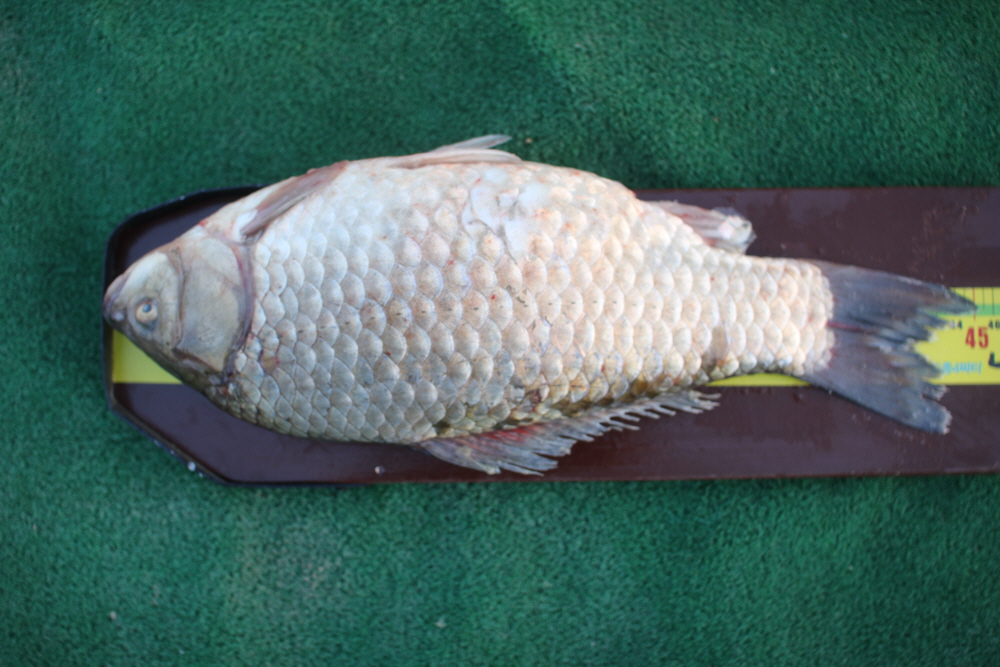[ũ⺯ȯ]IMG_0843.JPG