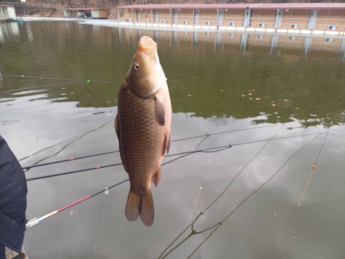 KakaoTalk_20250225_143240014.jpg