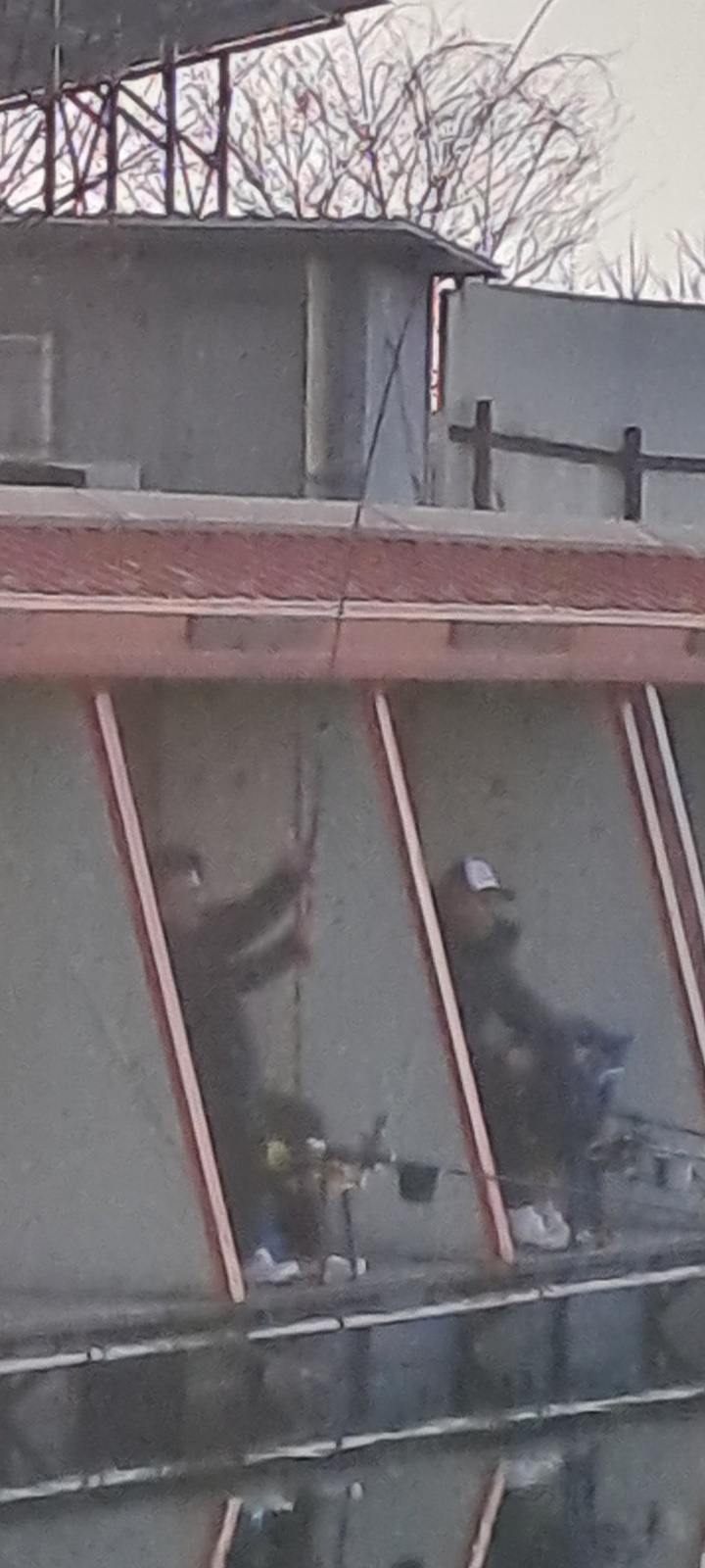 1741015438513-3.jpg