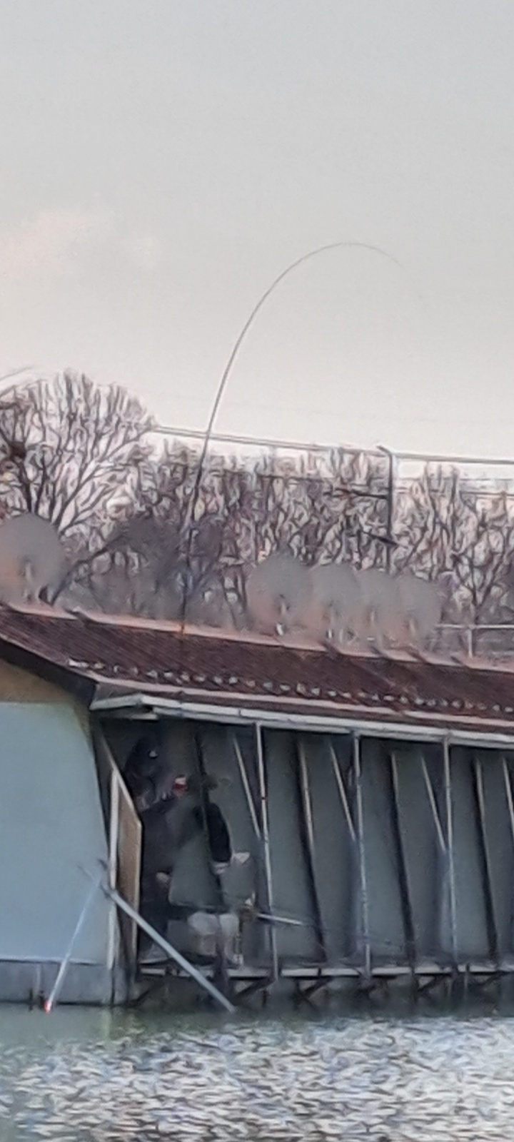 KakaoTalk_20250307_120056976_12.jpg