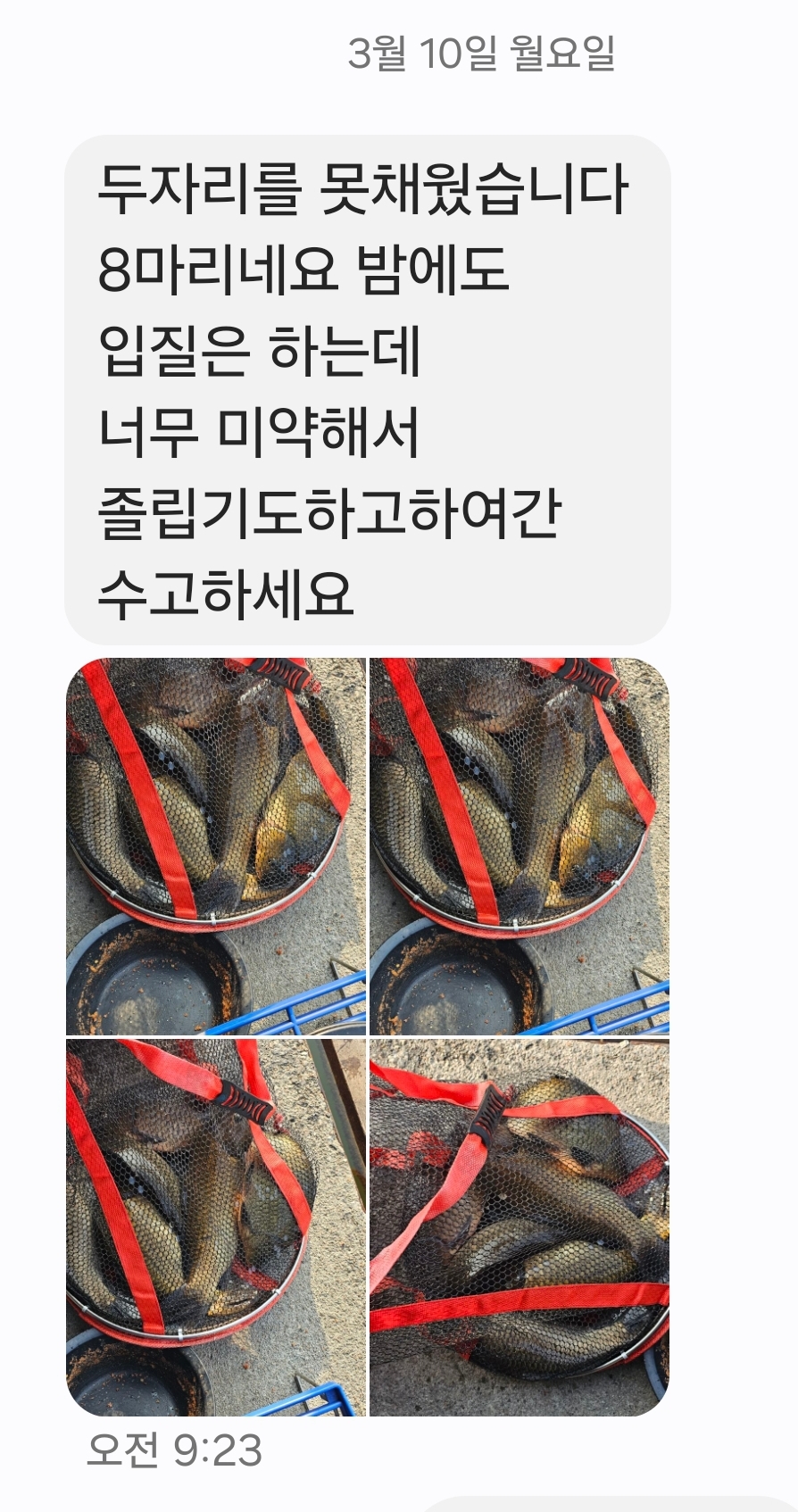 KakaoTalk_20250310_094108606.jpg