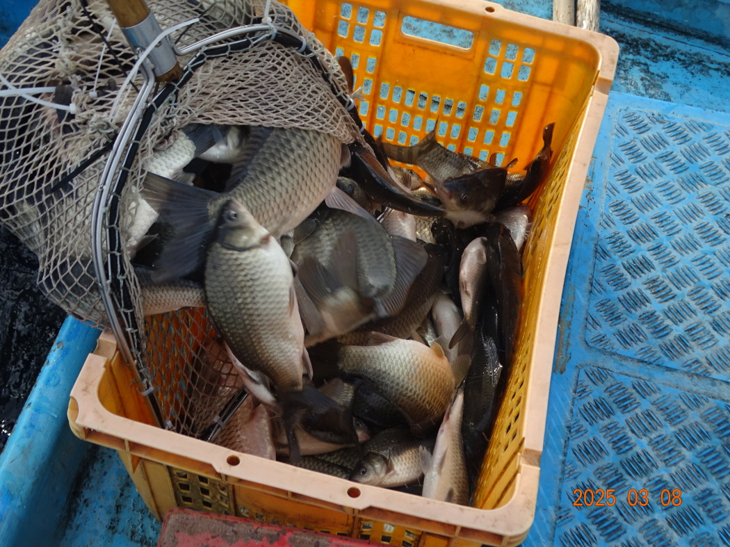 DSC09282.JPG