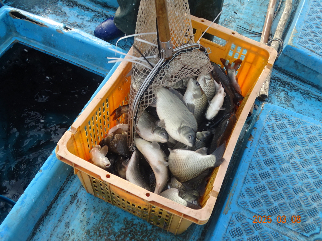 DSC09289.JPG