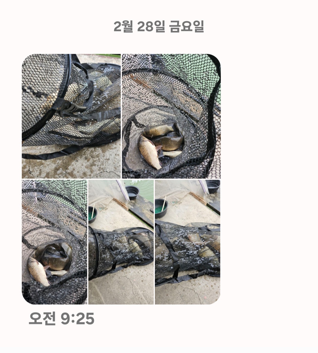Screenshot_20250228_093455_Messages.jpg