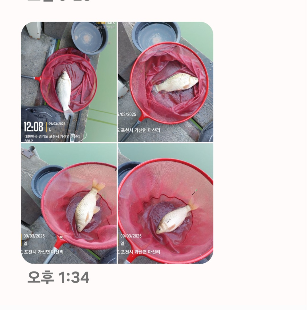 Screenshot_20250309_133531_Messages.jpg