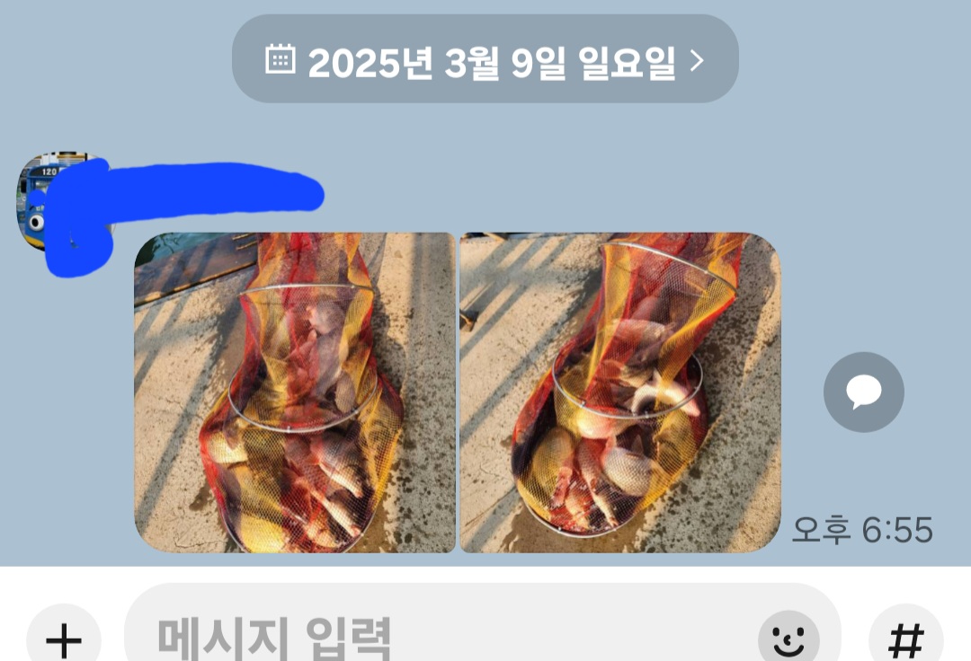 Screenshot_20250309_191209_KakaoTalk.jpg
