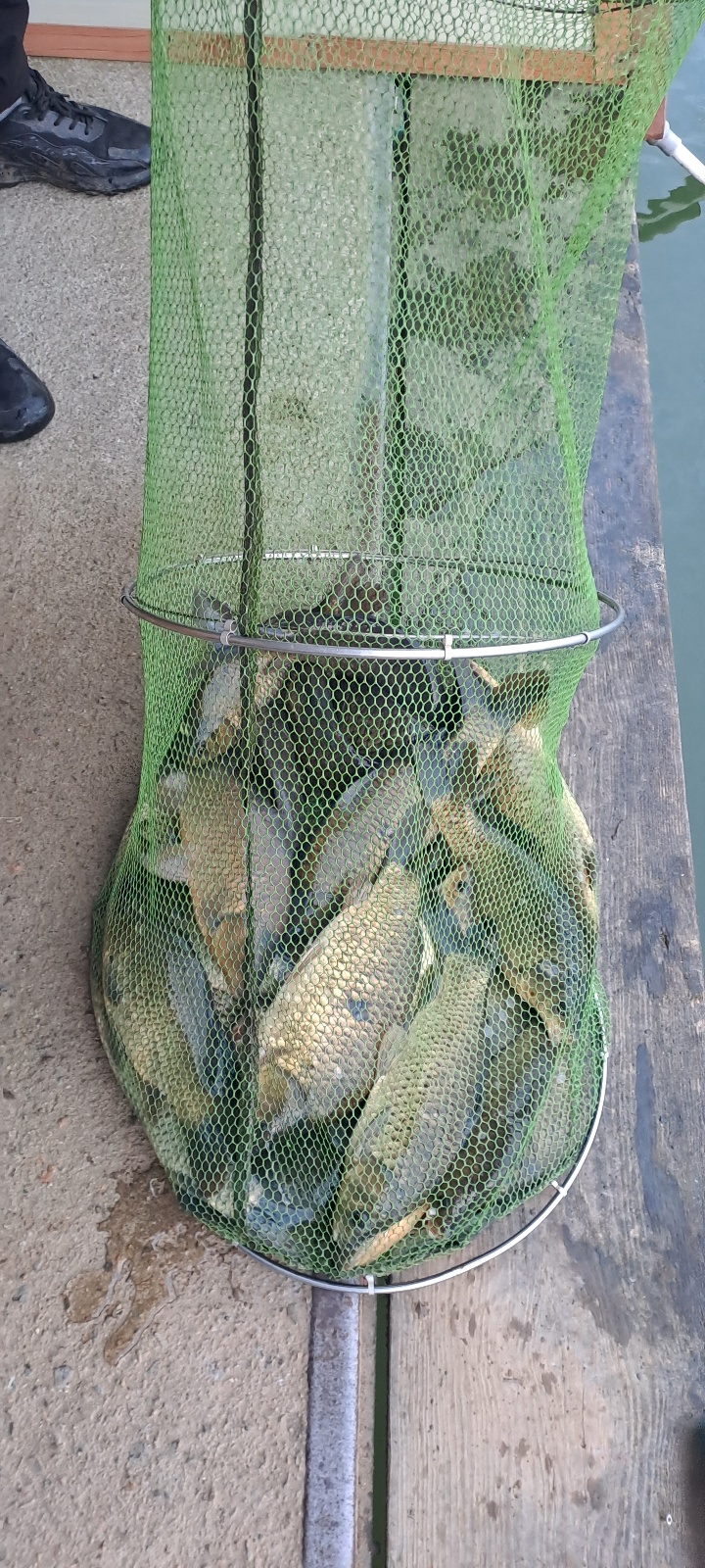 KakaoTalk_20250312_105844286_07.jpg