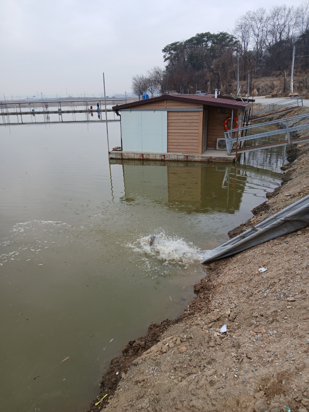 KakaoTalk_20250312_102322335_05.jpg
