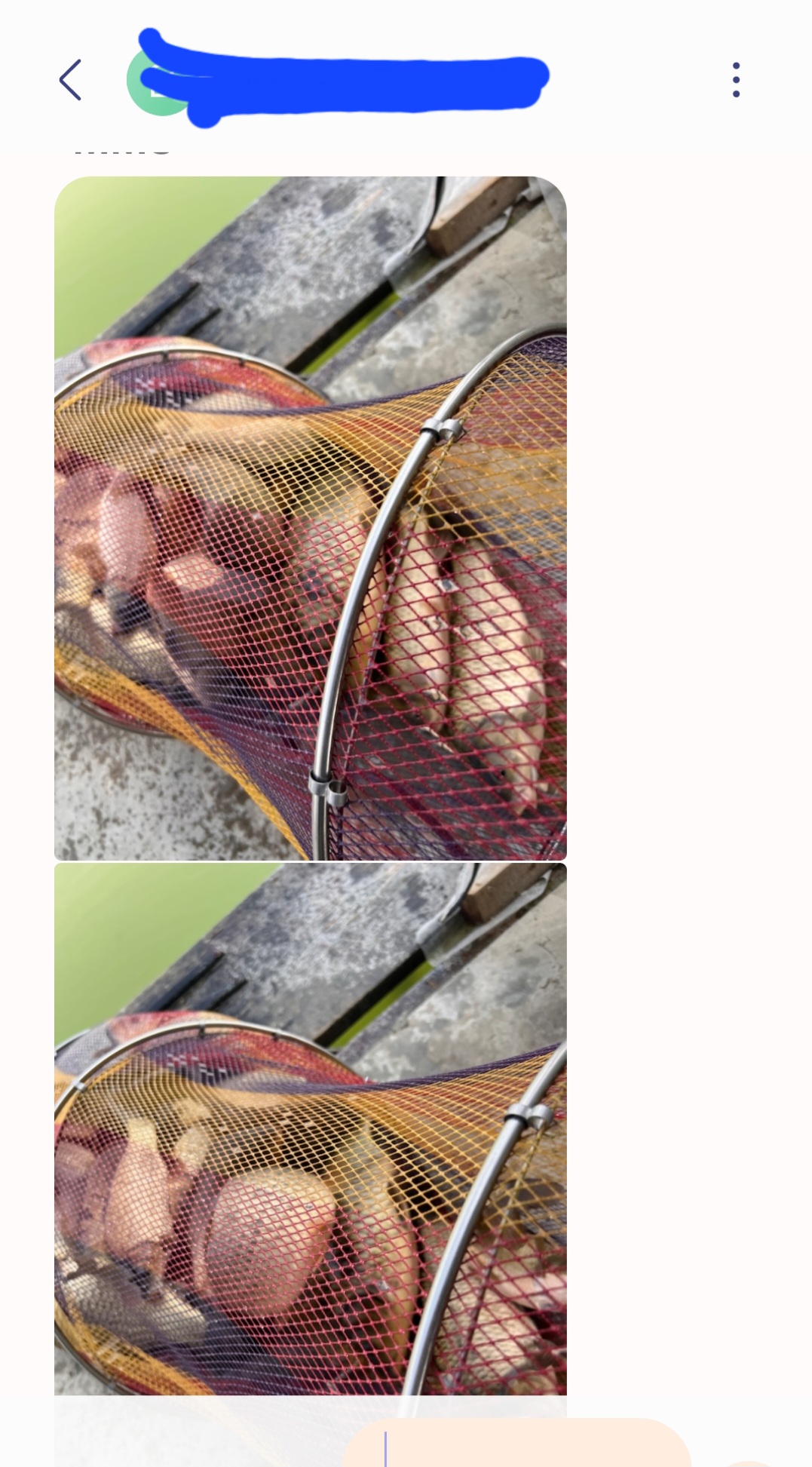 Screenshot_20250312_144218_Messages.jpg