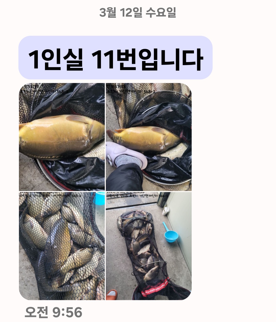 Screenshot_20250312_135453_Messages.jpg