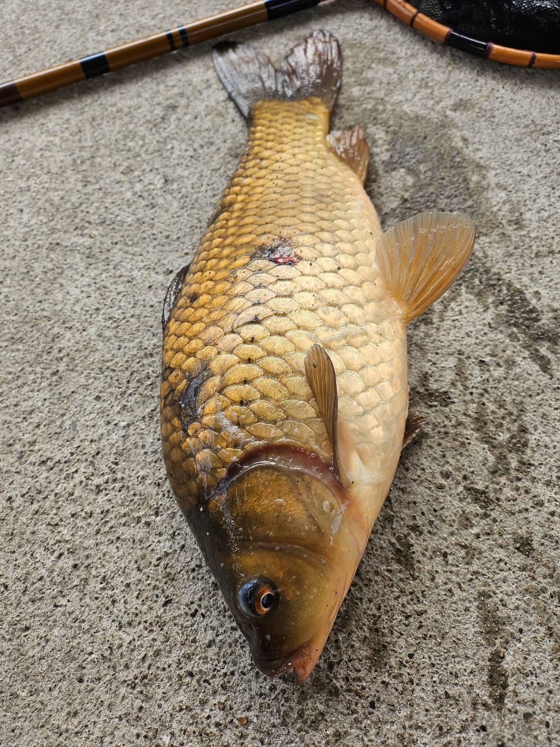 KakaoTalk_20250316_172236984.jpg