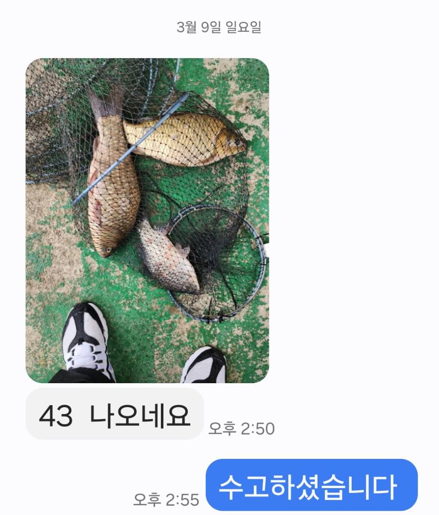 KakaoTalk_20250317_110244690.jpg