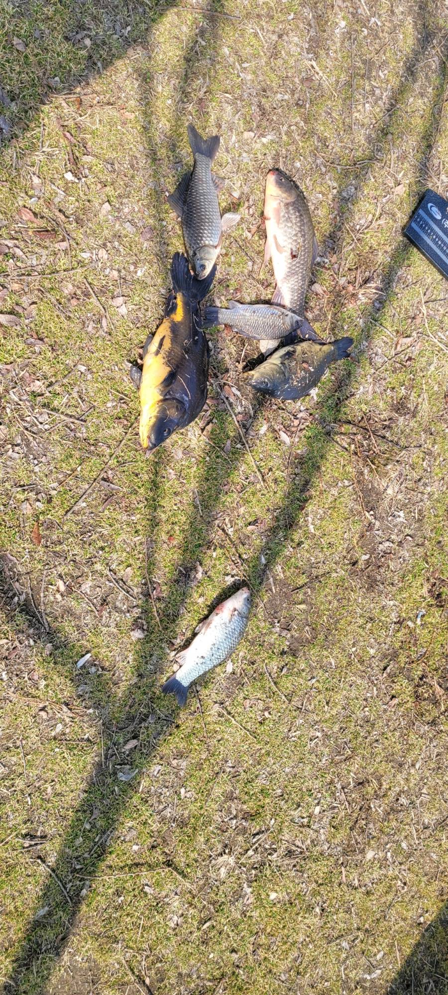 KakaoTalk_20250317_110259035_08.jpg