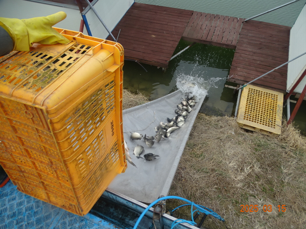 DSC09467.JPG
