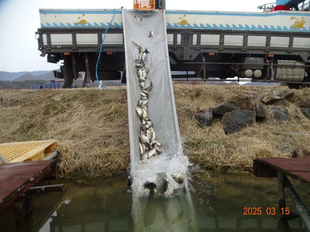 DSC09482.JPG