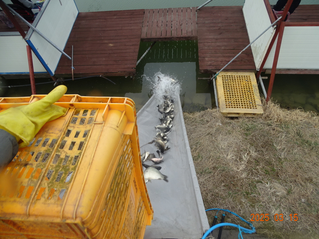 DSC09474.JPG