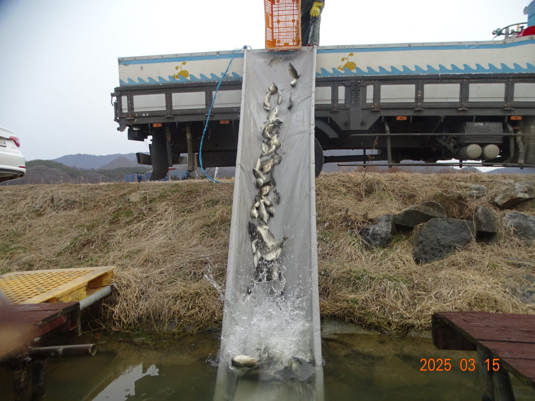 DSC09486.JPG