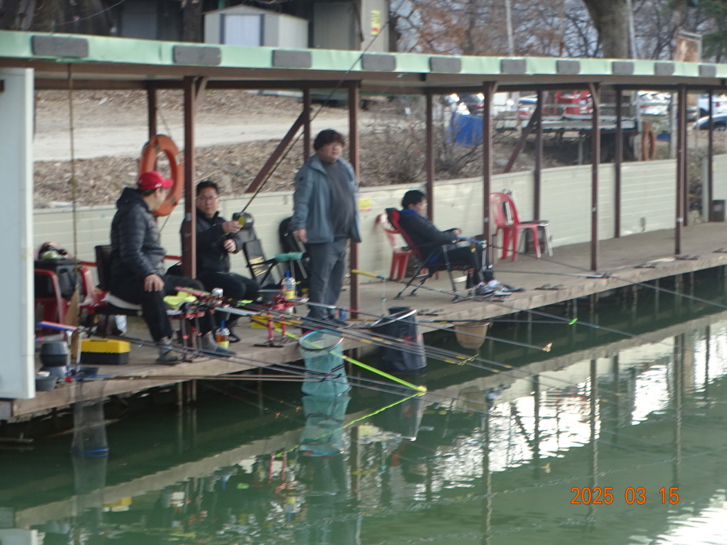 DSC09534.JPG