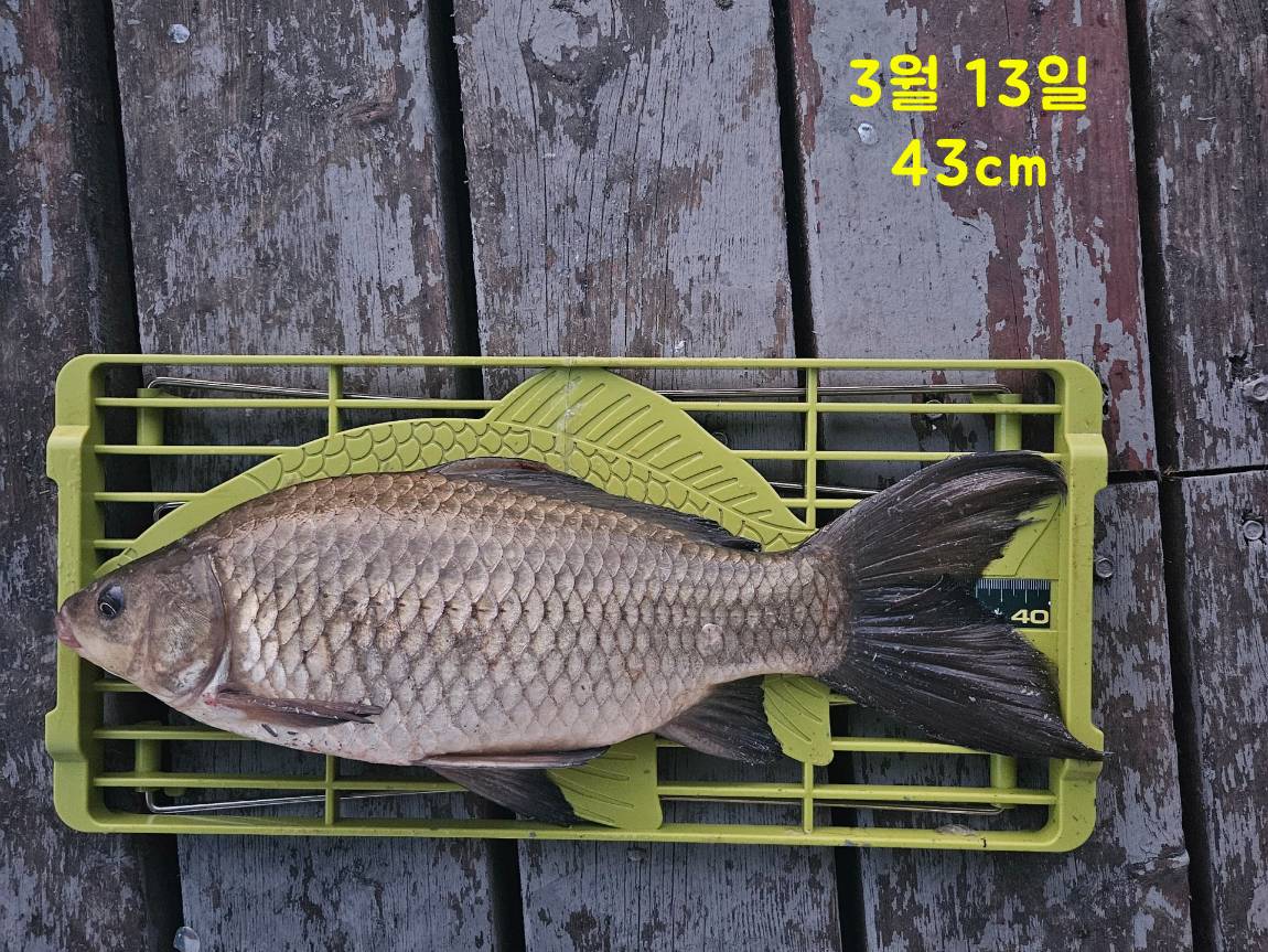 250310.jpg