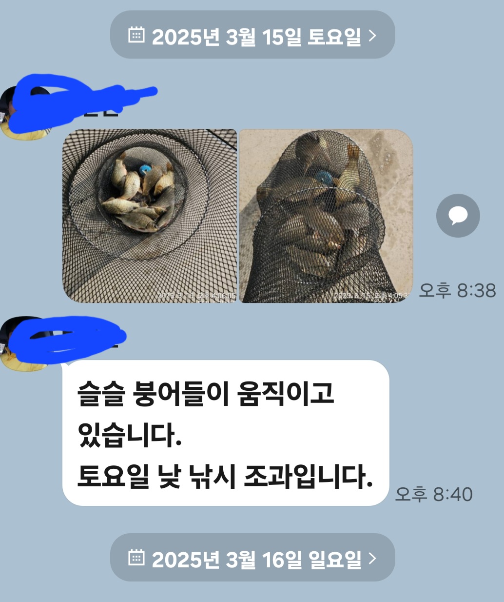 Screenshot_20250316_123634_KakaoTalk.jpg