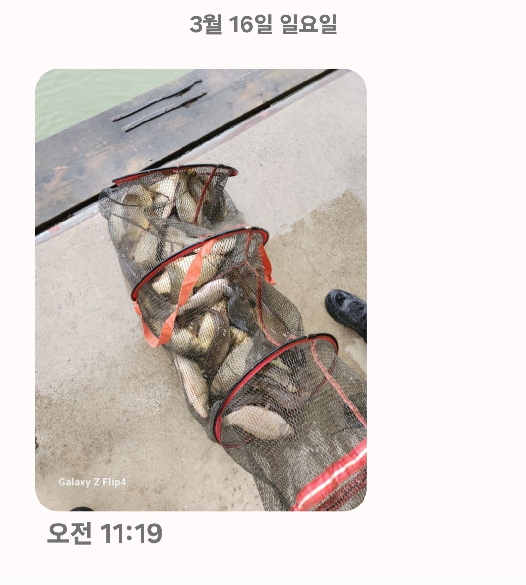 Screenshot_20250316_113639_Messages.jpg