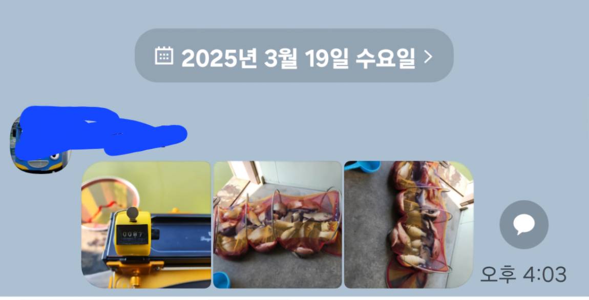 Screenshot_20250319_165822_KakaoTalk.jpg