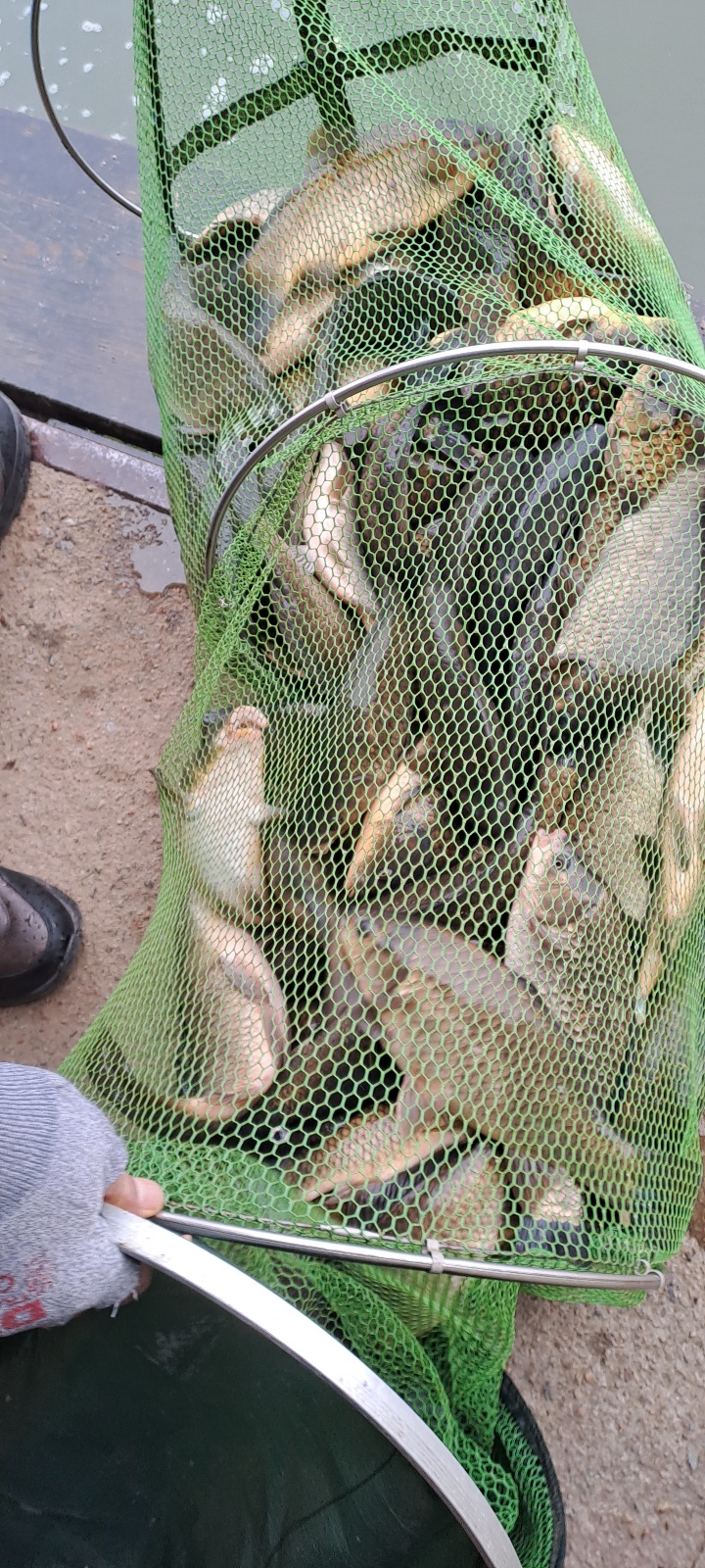 KakaoTalk_20250321_120811964_08.jpg