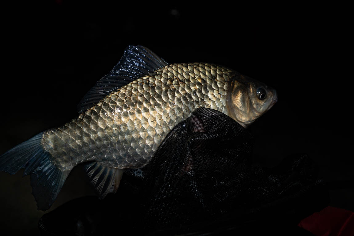 DSC03273.jpg