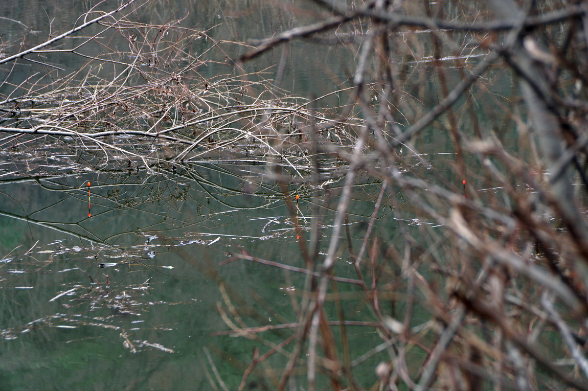 DSC00375.JPG