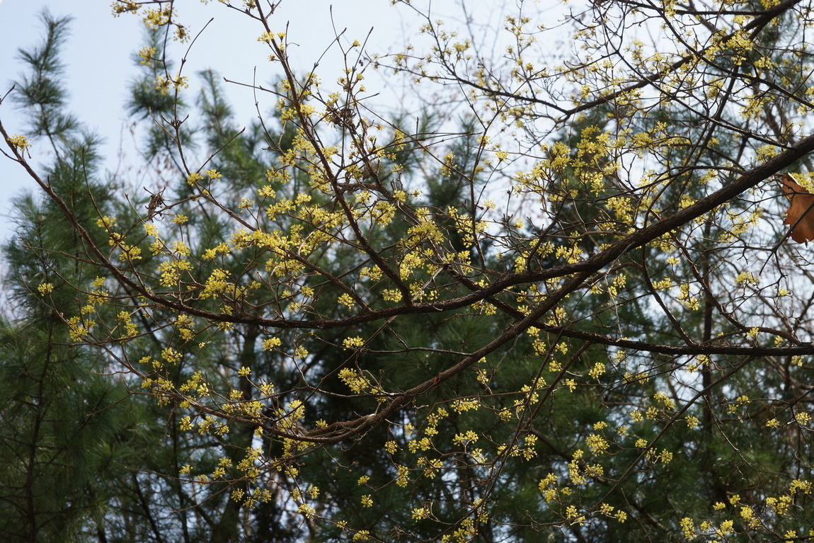 DSC07283.JPG