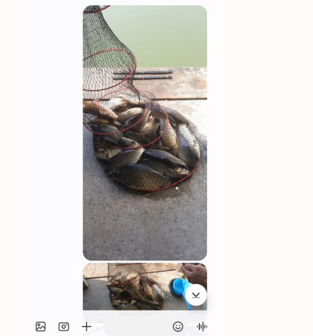 Screenshot_20250321_072240_Messages.jpg