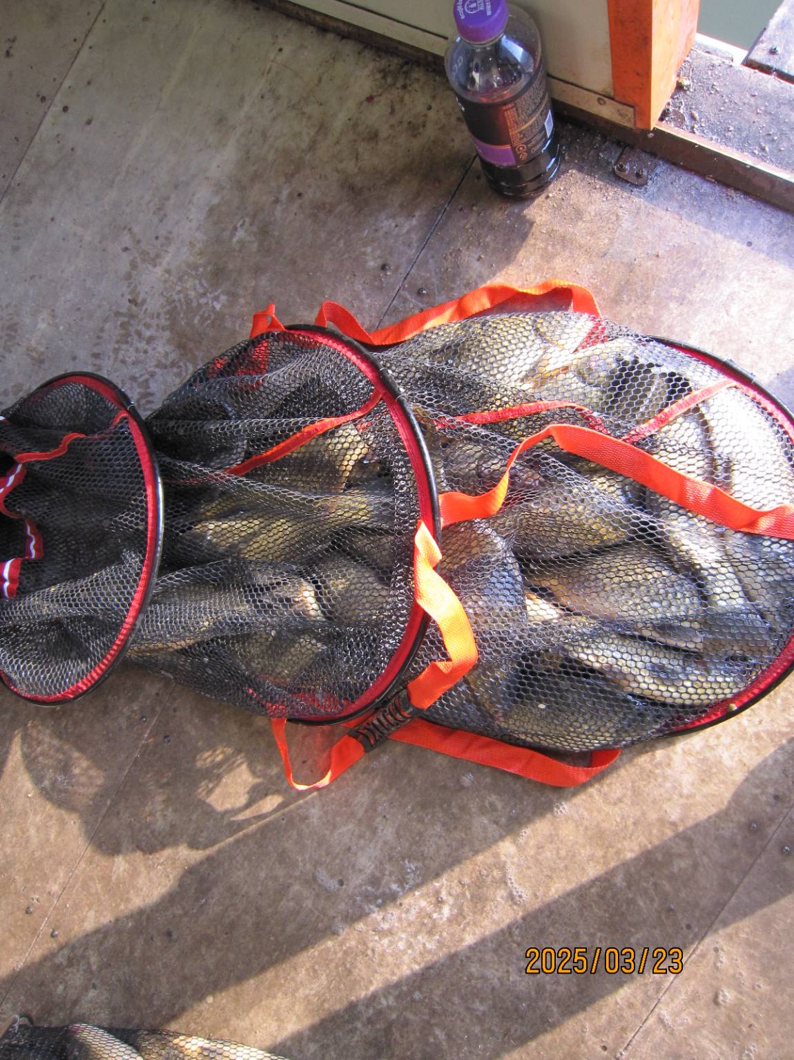 IMG_3292.JPG