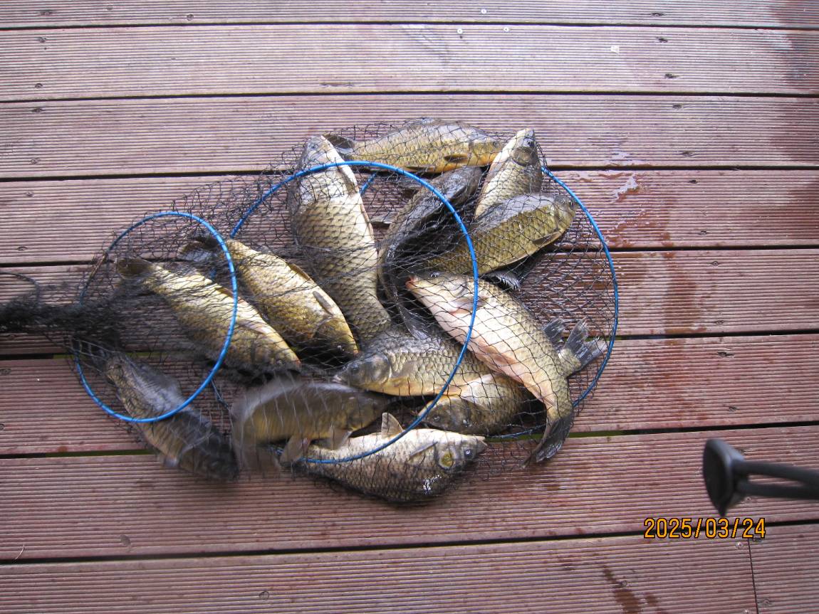 IMG_3318.JPG