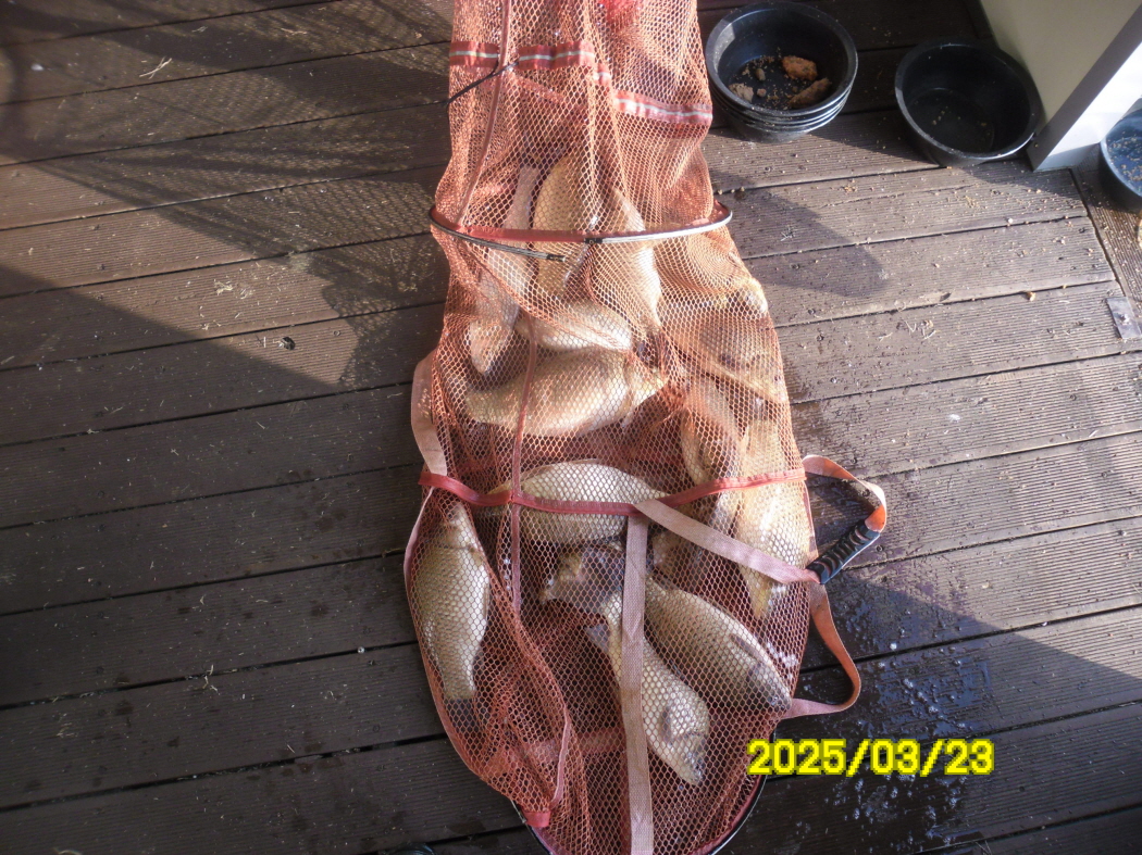 SAM_1359.JPG