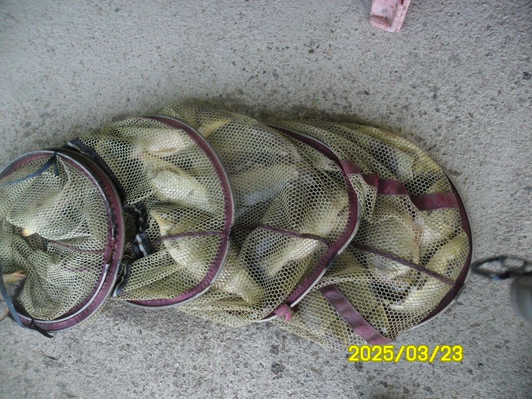SAM_1367.JPG