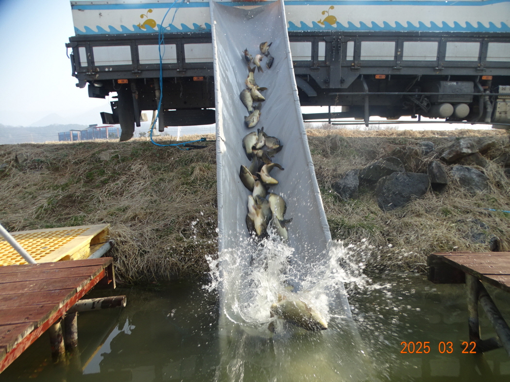 DSC09653.JPG