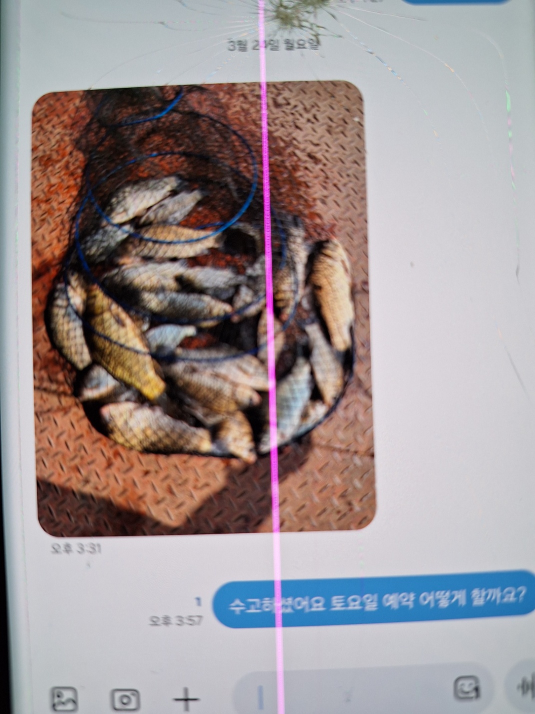 KakaoTalk_20250325_082837287_02.jpg