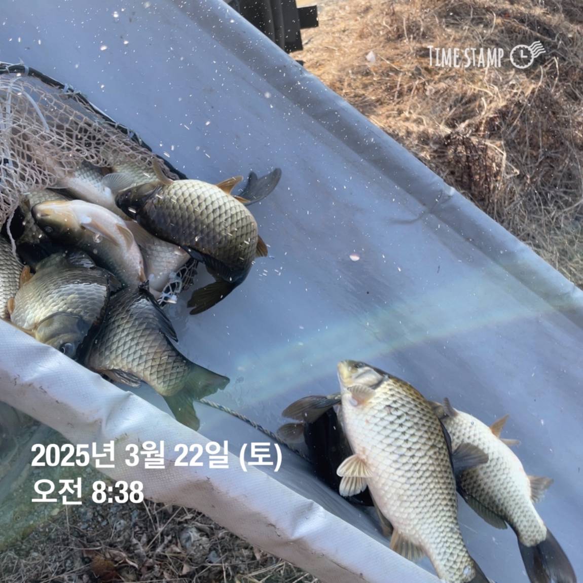 KakaoTalk_20250325_120124232_04.jpg