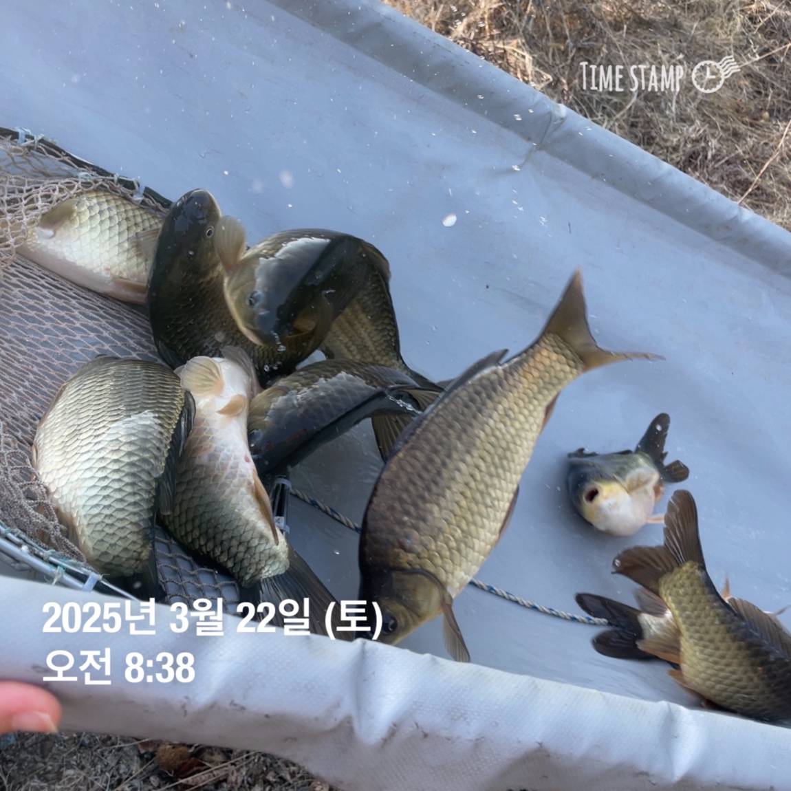 KakaoTalk_20250325_120124232_02.jpg