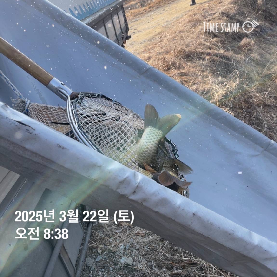 KakaoTalk_20250325_120124232_06.jpg
